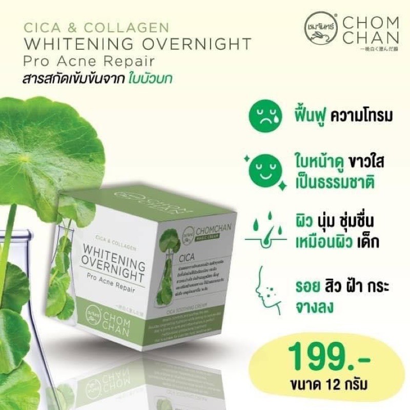 CHOMCHAN Cica&Collagen Whitening Overnight ครีมใบบัวบกชมจันทร์ 12g. ( 1 กล่อง )