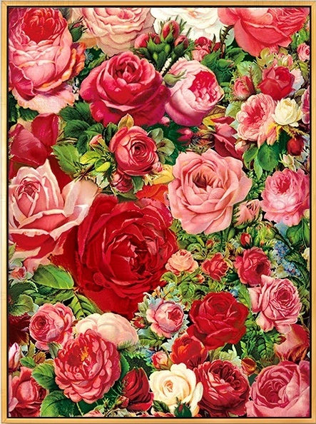 Rose ดอกกุหลาบ (พิมพ์ลาย)