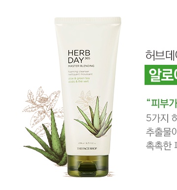 ( Aloe ) THE FACE SHOP HERB DAY 365 MASTER BLENDING FACIAL FOAMING CLEANSER