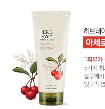 ( Acerola ) THE FACE SHOP HERB DAY 365 MASTER BLENDING FACIAL FOAMING CLEANSER