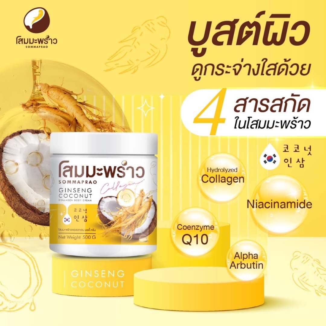 ครีมโสมมะพร้าว Coconut Ginseng cream (โคโค่นัท จินเส็ง ครีม) รุ่นใหม่ล่าสุด