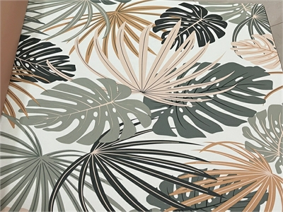 WALL ม้วนปกติ  5 ตรม.  กว้าง 53 cm ยาว 10 m  ass