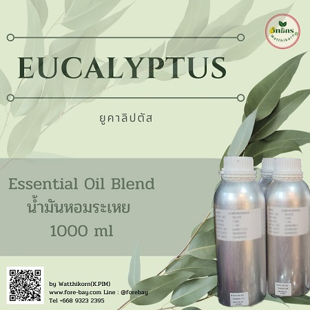 น้ำมันหอมระเหยยูคาลิปตัส (Eucalyptus essential oil)  ขนาด 1 ปอนด์