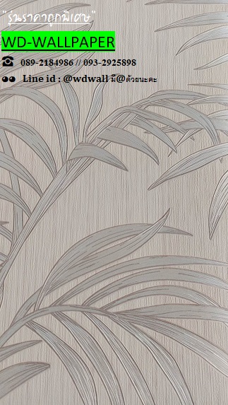 วอลราคาถูกพิเศษ