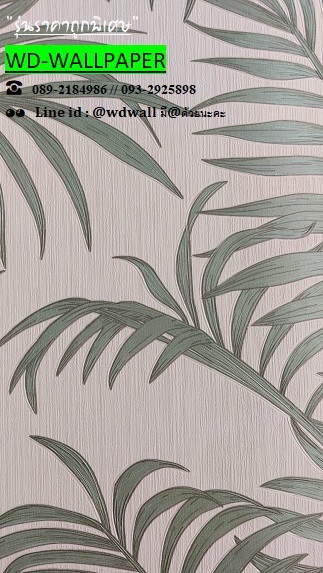 วอลราคาถูกพิเศษ