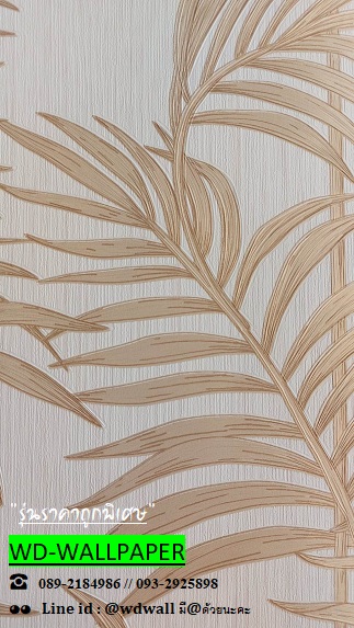 วอลราคาถูกพิเศษ