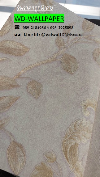 วอลราคาถูกพิเศษ