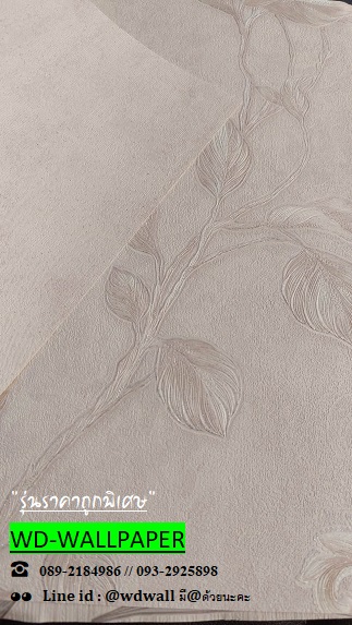 วอลราคาถูกพิเศษ