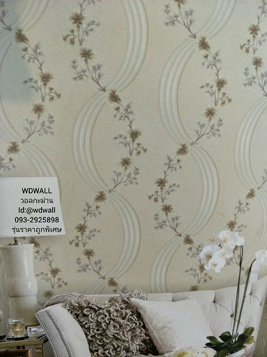 วอลราคาถูกพิเศษ wd2