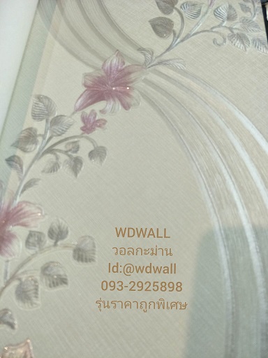 วอลราคาถูกพิเศษ wd2