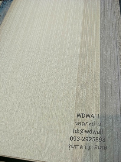 วอลราคาถูกพิเศษ wd2