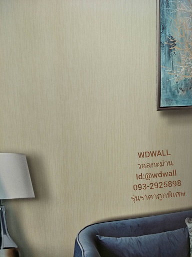 วอลราคาถูกพิเศษ wd2