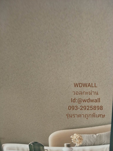 วอลราคาถูกพิเศษ wd2