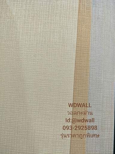 วอลราคาถูกพิเศษ wd2