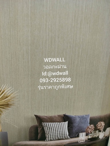 วอลราคาถูกพิเศษ wd2