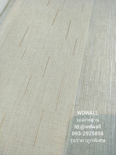 วอลราคาถูกพิเศษ wd2