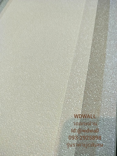 วอลราคาถูกพิเศษ wd2