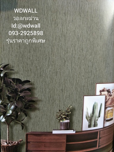 วอลราคาถูกพิเศษ wd2