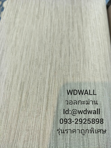 วอลราคาถูกพิเศษ wd2