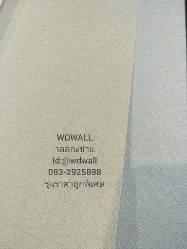 วอลราคาถูกพิเศษ wd2