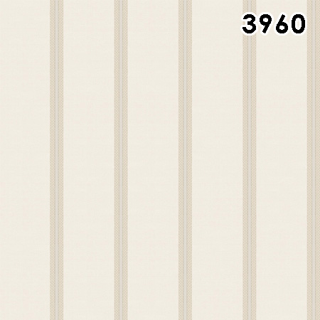 กราฟฟิก ลายทาง โมเดิร์น 