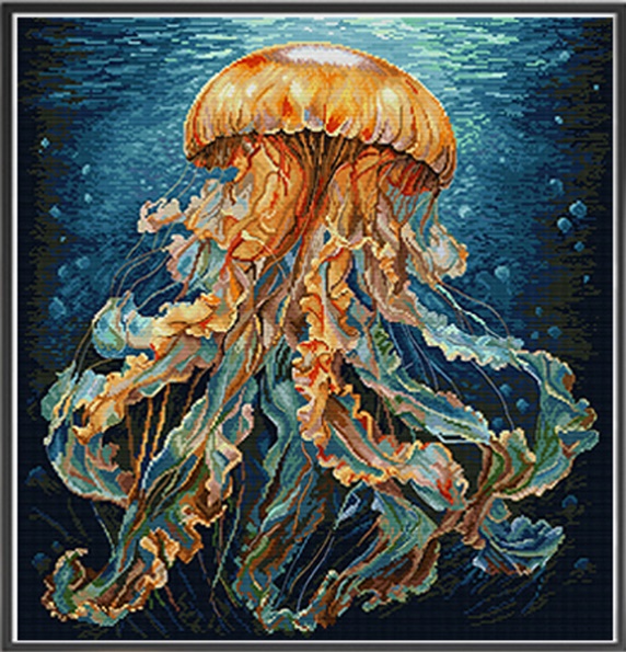 Jellyfish (ไม่พิมพ์/พิมพ์ลาย)