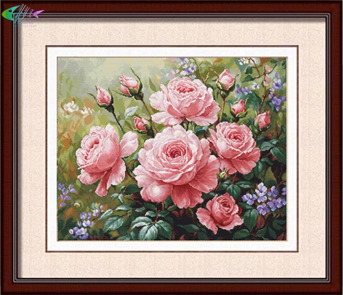 Rose garden (พิมพ์ลาย)