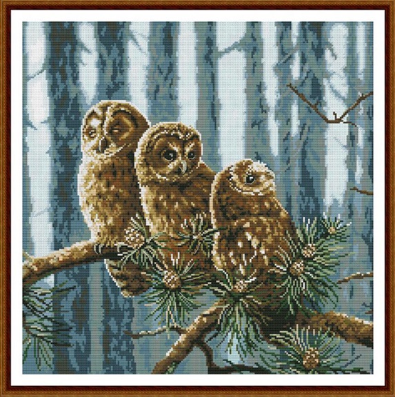 Family owls (ไม่พิมพ์/พิมพ์ลาย)