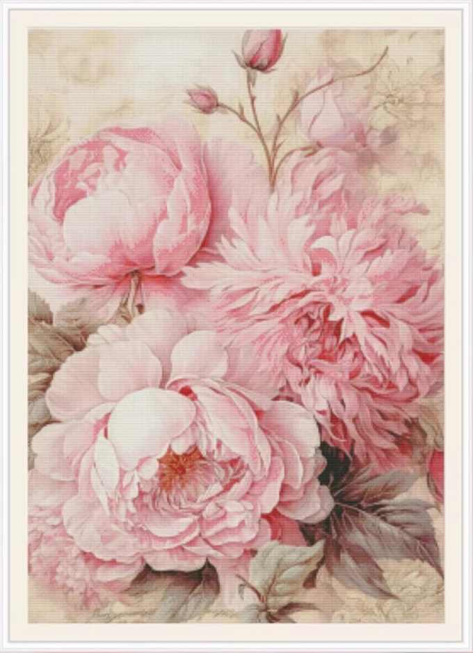 Pink rose (พิมพ์ลาย)