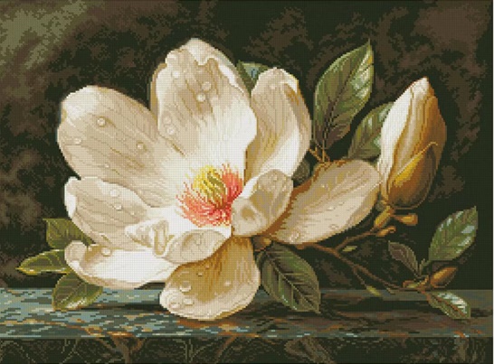Magnolia flower (พิมพ์ลาย)
