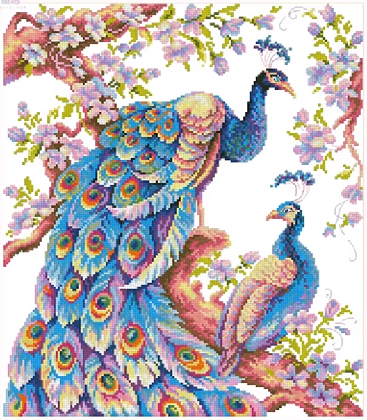 Peacock (พิมพ์ลาย)