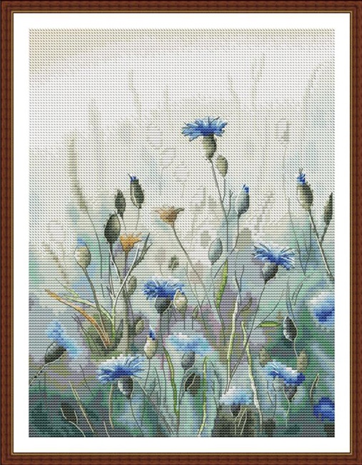 Cornflower (ไม่พิมพ์/พิมพ์ลาย)