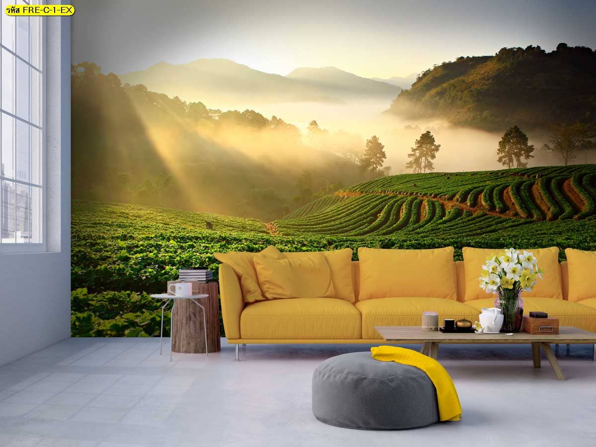 วอลเปเปอร์ไร่ชาและหมอกยามเช้า เพิ่มบรรยากาศอบอุ่นให้ผนังห้อง ดูนุ่มนวลและผ่อนคลาย