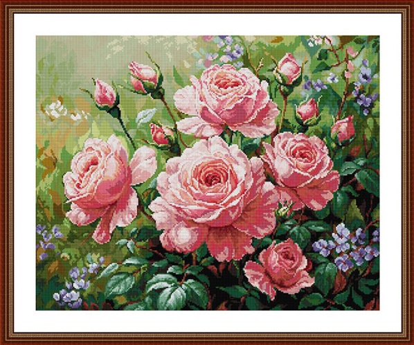 Rose garden (พิมพ์ลาย)