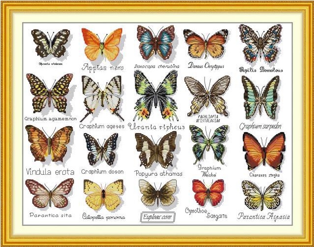 Butterflies (ไม่พิมพ์/พิมพ์ลาย)