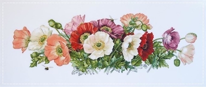 Poppies (พิมพ์ลาย)
