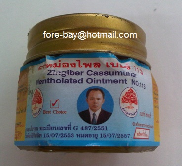 ยาหม่องไพล เบอร์ 113 สูตรวัดโพธิ์ ตราฤษีโพธิ์ทอง Zingiber Cassumunar Mentholated Ointment N0.113