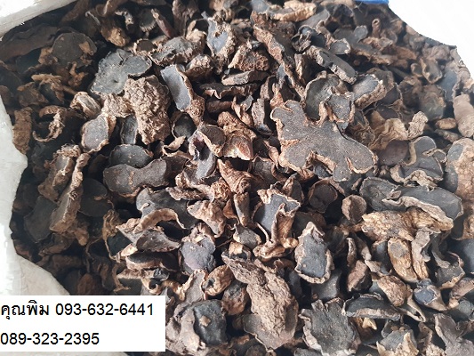 ขายส่งกระชายดำอบแห้ง Black Galingale , กระชายดำแผ่นแห้ง, กระชายดำอบแห้งแบบแผ่น 093-632-6441