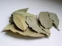 ขายปลีกขายส่งใบกระวาน (Bay Leaf)