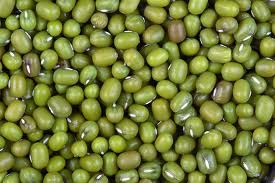 ถั่วเขียวบดผง ผงถั่วเขียว  Green Bean Powder