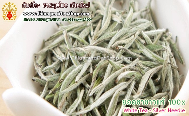 ชาขาวแท้ (ยอดใบชาขาว) WhiteTea SilverNeedle 100g