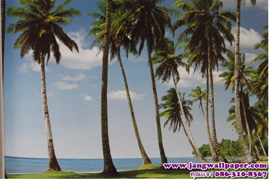 ลายภาพวิว-หินธรรมชาติ-ลายไม้