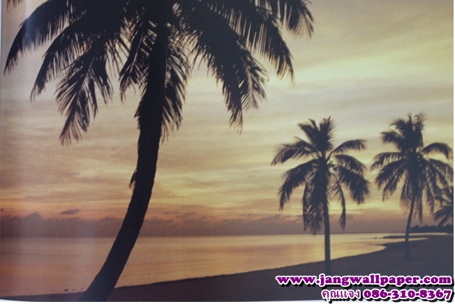 ลายภาพวิว-หินธรรมชาติ-ลายไม้