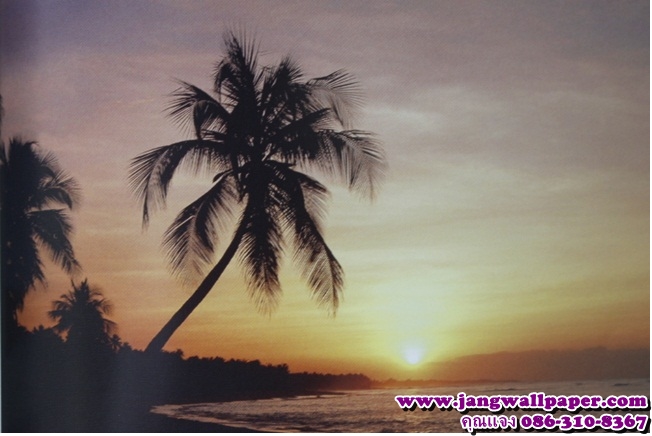 ลายภาพวิว-หินธรรมชาติ-ลายไม้
