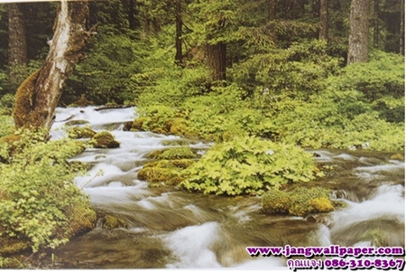 ลายภาพวิว-หินธรรมชาติ-ลายไม้