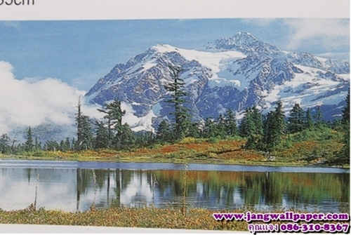 ลายภาพวิว-หินธรรมชาติ-ลายไม้