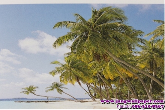 ลายภาพวิว-หินธรรมชาติ-ลายไม้