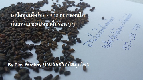 ขายส่งเมล็ดชุมเห็ดไทย ไม่คั่ว 1 กิโล  เมล็ดชุมเห็ดไทย แก้อาการนอนไม่ค่อยหลับ ชาเมล็ดชุมเห็ดไทย ชาเมล็ดชุมเห็ดไทย 089-323-2395