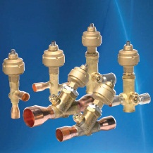 Electronic expansion valves