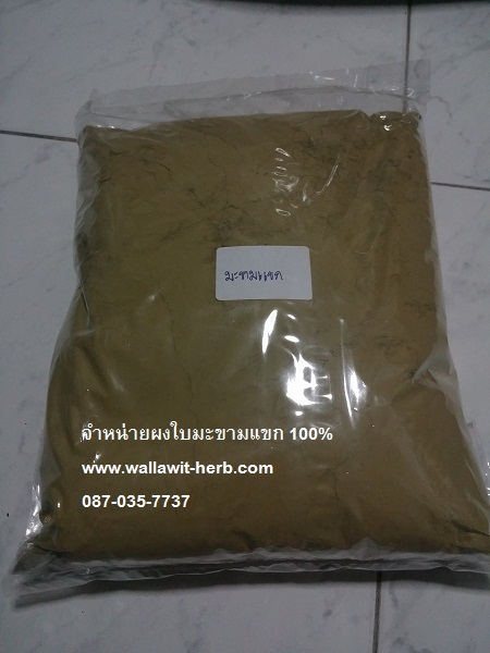 ขายใบมะขามแขกบดผง (Senna Leaves Powder) , ขายส่งผงใบมะขามแขก 100% โทร 093-632-6441